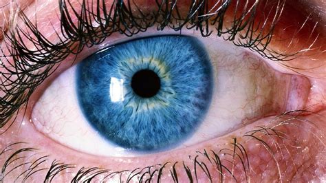 bir insanın gözü kaç megapikseldir